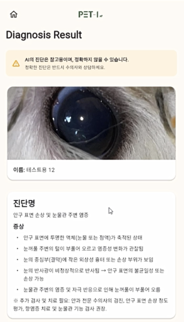 PET-I 진단 결과 화면